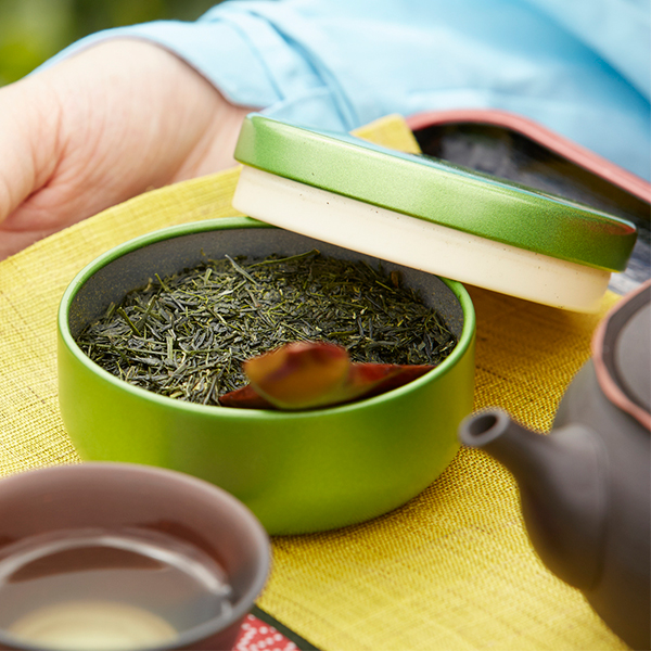 煎茶 ギフトセット